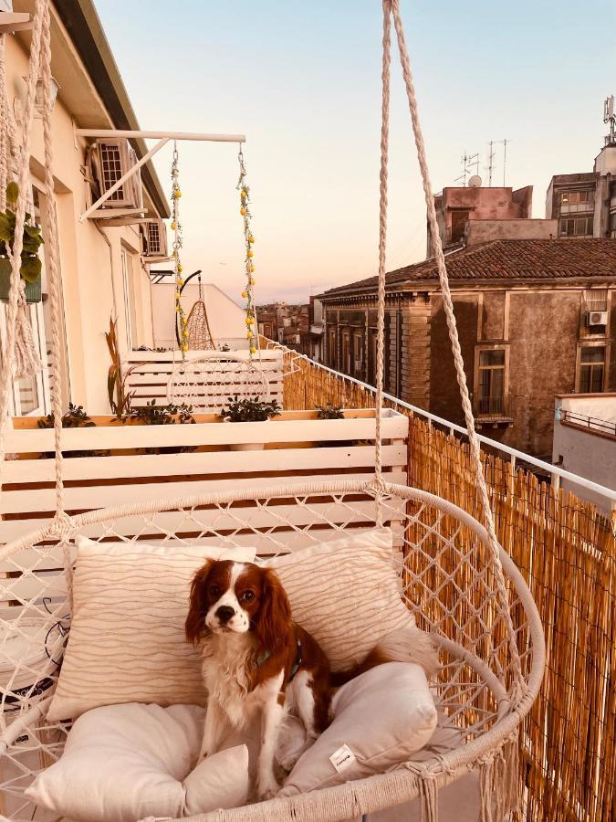 Finestra Sulla Sicilia Bed & Breakfast Catania Bagian luar foto